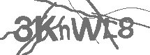 Güvenlik Kodu